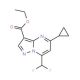 Ethyl 5-cyclopropyl-7-(difluoromethyl)pyrazolo-[1,5-a]pyrimidine-3-carboxylate - chemical structure image