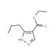 Ethyl 5-propyl-1H-pyrazole-4-carboxylate (CAS 123374-28-7) - chemical structure image