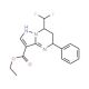 Ethyl 7-(difluoromethyl)-5-phenyl-4,5,6,7-tetrahydropyrazolo[1,5-a]pyrimidine-3-carboxylate - chemical structure image