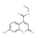 Ethyl 7-hydroxycoumarin-4-carboxylate (CAS 1084-45-3) - chemical structure image
