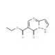 Ethyl 7-hydroxypyrazolo[1,5-a]pyrimidine-6-carboxylate (CAS 43024-61-9) - chemical structure image