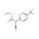 ethyl cyano[5-(trifluoromethyl)pyridin-2-yl]acetate - chemical structure image