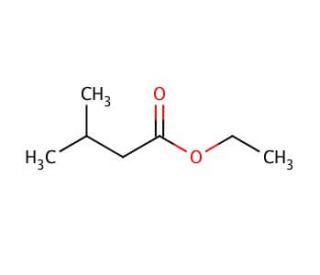 Ethyl isovalerate (CAS 108-64-5) - chemical structure image