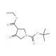 Ethyl N-Boc-4-oxo-pyrrolidine-3-carboxylate (CAS 146256-98-6) - chemical structure image