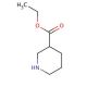 Ethyl nipecotate (CAS 5006-62-2) - chemical structure image