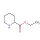Ethyl pipecolinate (CAS 15862-72-3) - chemical structure image