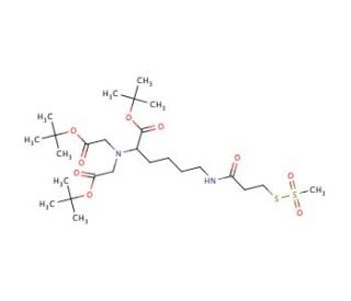 Ethylmethanethiosulfonate-2-carboxy[(5&prime;-amino-1&prime;-carboxypentyl)iminodiacetic Acid] Amide Tri-tert-butyl ester - chemical stru