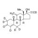 Etonogestrel-d7 (Major) 的分子结构 Etonogestrel-d7 (Major) - chemical structure image