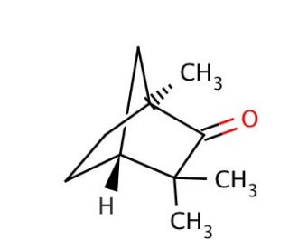 (&plus;)-Fenchone (CAS 4695-62-9) - chemical structure image