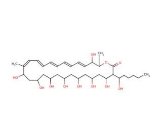 Filipin III (CAS 480-49-9) - chemical structure image