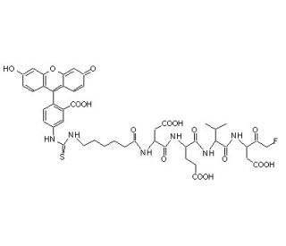 FITC-C6-DEVD-FMK - chemical structure image