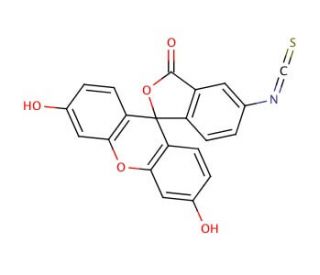 Fluorescein 5(6)-isothiocyanate (CAS 27072-45-3) - chemical structure image 