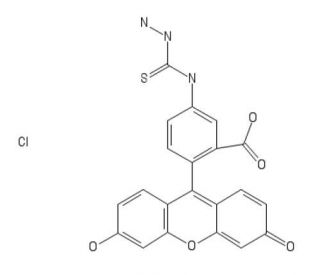 Fluorescein-5-thiosemicarbazide Hydrochloride (CAS 76863-28-0) - chemical structure image