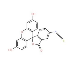 Fluorescein 6-isothiocyanate (CAS 3012-71-3) - chemical structure image