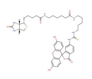 Fluorescein Biotin (CAS 134759-22-1) - chemical structure image 