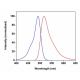 Fluorescein Biotin: sc-214340