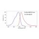 Graph showing the excitation and emission spectra of Fluorescein di(β-D-galactopyranoside): sc-221617.