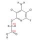 Fluroxypyr-d2,13C2 (CAS 69377-81-7 (unlabeled)) - chemical structure image