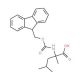 Fmoc-alpha-Me-L-Leu-OH 的分子结构, CAS编号: 312624-65-0 Fmoc-alpha-Me-L-Leu-OH (CAS 312624-65-0) - chemical structure image