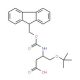Fmoc-L-beta-HSer(tBu)-OH (CAS 203854-51-7) - chemical structure image