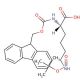Fmoc-Lys(Boc)-OH (CAS 71989-26-9) - chemical structure image