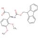 Fmoc-(R)-3-amino-3-(2,3-dimethoxyphenyl)propionic acid (CAS 511272-39-2) - chemical structure image