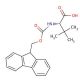 Fmoc-tBu-Gly-OH (CAS 132684-60-7) - chemical structure image