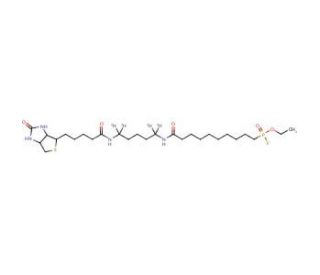 FP-Biotin-d4 - chemical structure image