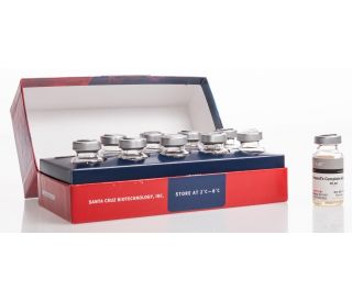 Freund's Complete Adjuvant: sc-24018...