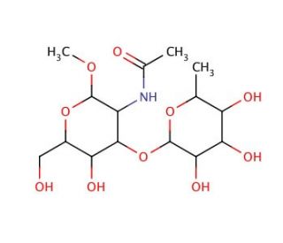 Fuc1-&alpha;-3GlcNAc1-b-OMe (CAS 169151-24-0) - chemical structure image