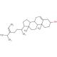 Fucosterol 的分子结构, CAS编号: 17605-67-3 Fucosterol (CAS 17605-67-3) - chemical structure image