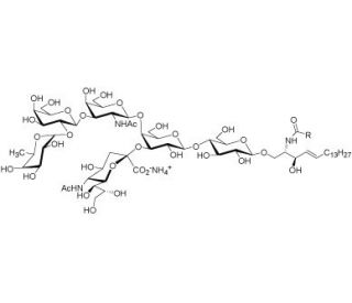 Fucosylated monosialoganglioside GM1 (NH4+ salt) (CAS 71812-11-8) - chemical structure image