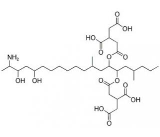 Fumonisin B2 (CAS 116355-84-1) - chemical structure image
