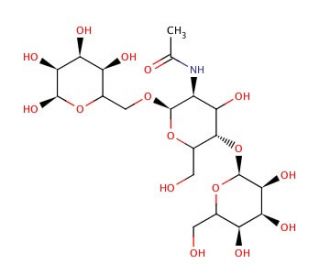 Gal1-&beta;-4GlcNAc1-&beta;-6Gal (CAS 20331-45-7) - chemical structure image