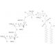 Ganglioside GD3 disodium salt (CAS 62010-37-1) - chemical structure image