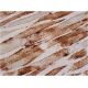 GDF-8/11 Antibody (H-9) - Immunohistochemistry - Image 387110