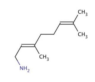 Geranylamine (CAS 6246-48-6) - chemical structure image