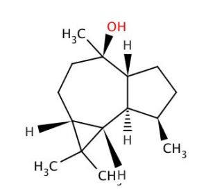 (&minus;)-Globulol (CAS 489-41-8) - chemical structure image