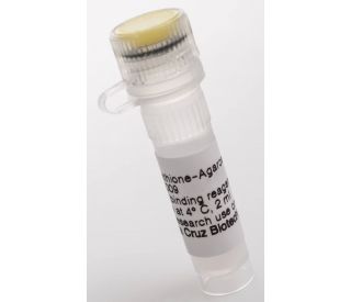 Glutathione-Agarose: sc-2009...