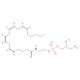 Glycerophospho-N-Arachidonoyl Ethanolamine 的分子结构, CAS编号: 201738-25-2 Glycerophospho-N-Arachidonoyl Ethanolamine (CAS 201738-25-2) - chemical structure image