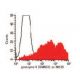 granzyme K Antibody (GM6C3) - Flow Cytometry - Image 47800