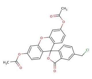 Green CMFDA (CAS 136832-63-8) - chemical structure image