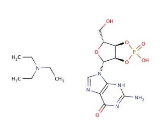 Guanosine 2&prime;,3&prime;-cyclic monophosphate triethylamine salt (CAS 73647-09-3) - chemical structure image