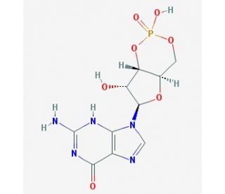 Guanosine 3&prime;,5&prime;-cyclic monophosphate (CAS 7665-99-8) - chemical structure image