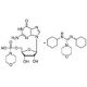 Guanosine 5′-monophosphomorpholidate 4-morpholine-N,N′-dicyclohexylcarboxamidine salt 的分子结构, CAS编号: 7361-07-1 Guanosine 5′-monophosphomorpholidate 4-morpholine-N,N′-dicyclohexylcarboxamidine salt (CAS 7361-07-1) - chemical structure im