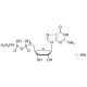 Guanosine 5′-(tetrahydrogen triphosphate) Sodium Salt (CAS 24905-71-3) - chemical structure image