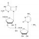 Guanylyl(3′ 5′)cytidine ammonium salt (CAS 98046-67-4) - chemical structure image