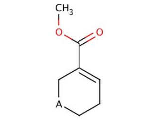 Guvacoline, Hydrobromide (CAS 17210-51-4) - chemical structure image