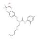 GW 9578 (CAS 247923-29-1) - chemical structure image