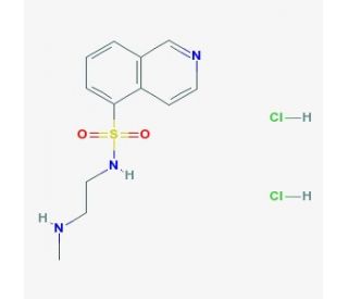 H-8 &bull; 2HCl (CAS 113276-94-1) - chemical structure image